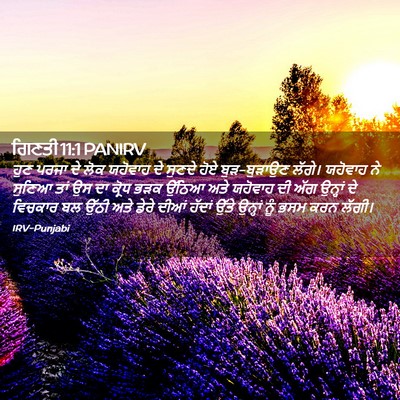 Picture 02 - ਗਿਣਤੀ 11:1 PANIRV - ਹੁਣ ਪਰਜਾ ਦੇ ਲੋਕ - Bible Verse Picture