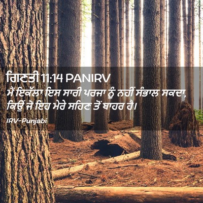 Picture 02 - ਗਿਣਤੀ 11:14 PANIRV - ਮੈਂ ਇਕੱਲਾ ਇਸ ਸਾਰੀ - Bible Verse Picture