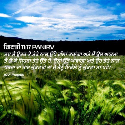 Picture 02 - ਗਿਣਤੀ 11:17 PANIRV - ਤਦ ਮੈਂ ਉਤਰ ਕੇ ਤੇਰੇ - Bible Verse Picture
