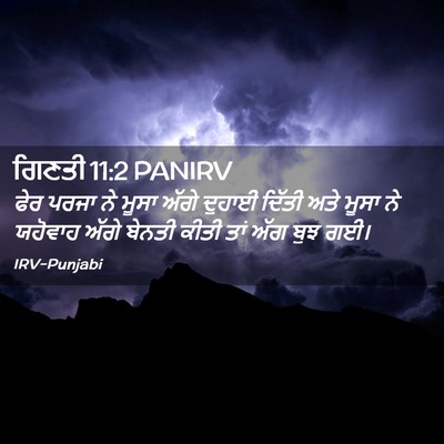 Picture 02 - ਗਿਣਤੀ 11:2 PANIRV - ਫੇਰ ਪਰਜਾ ਨੇ ਮੂਸਾ - Bible Verse Picture