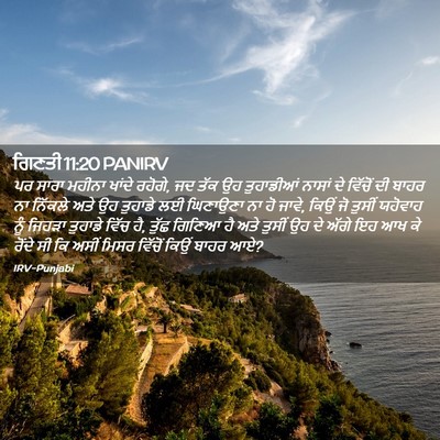 Picture 02 - ਗਿਣਤੀ 11:20 PANIRV - ਪਰ ਸਾਰਾ ਮਹੀਨਾ - Bible Verse Picture