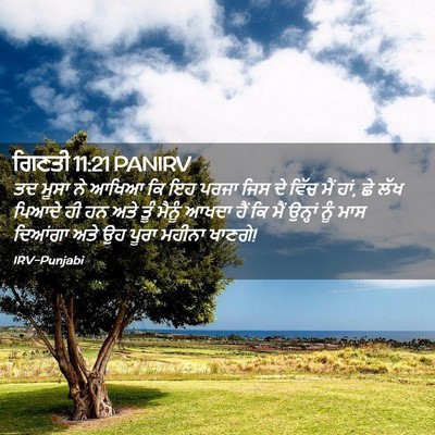 Picture 02 - ਗਿਣਤੀ 11:21 PANIRV - ਤਦ ਮੂਸਾ ਨੇ ਆਖਿਆ ਕਿ - Bible Verse Picture
