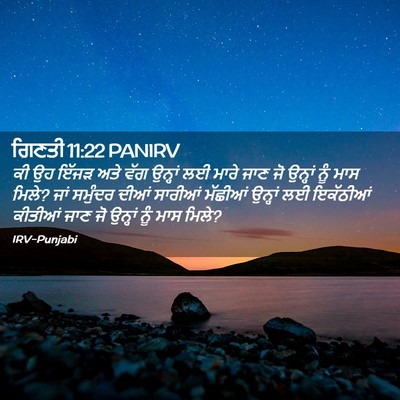 Picture 02 - ਗਿਣਤੀ 11:22 PANIRV - ਕੀ ਉਹ ਇੱਜੜ ਅਤੇ ਵੱਗ - Bible Verse Picture