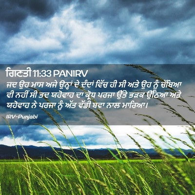 Picture 02 - ਗਿਣਤੀ 11:33 PANIRV - ਜਦ ਉਹ ਮਾਸ ਅਜੇ - Bible Verse Picture