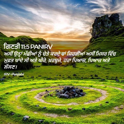 Picture 02 - ਗਿਣਤੀ 11:5 PANIRV - ਅਸੀਂ ਉਨ੍ਹਾਂ - Bible Verse Picture