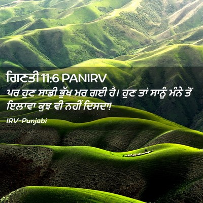 Picture 02 - ਗਿਣਤੀ 11:6 PANIRV - ਪਰ ਹੁਣ ਸਾਡੀ ਭੁੱਖ ਮਰ - Bible Verse Picture