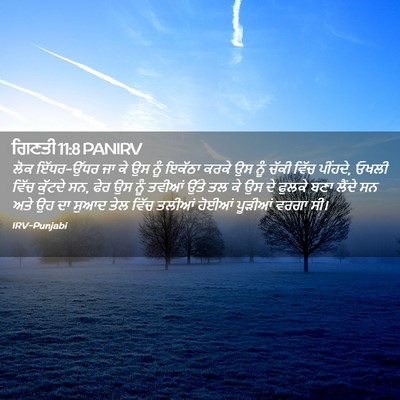 Picture 02 - ਗਿਣਤੀ 11:8 PANIRV - ਲੋਕ ਇੱਧਰ-ਉੱਧਰ ਜਾ ਕੇ - Bible Verse Picture