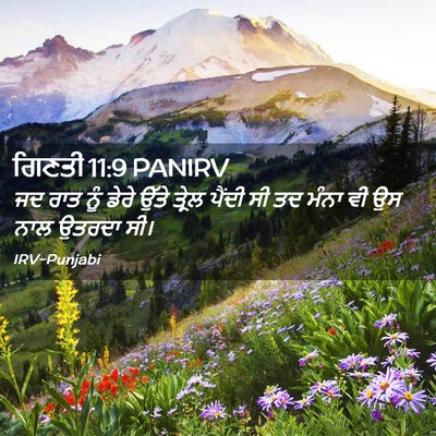 Picture 02 - ਗਿਣਤੀ 11:9 PANIRV - ਜਦ ਰਾਤ ਨੂੰ ਡੇਰੇ - Bible Verse Picture