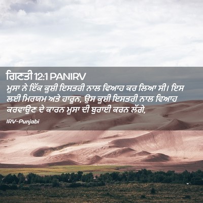 Picture 02 - ਗਿਣਤੀ 12:1 PANIRV - ਮੂਸਾ ਨੇ ਇੱਕ ਕੂਸ਼ੀ - Bible Verse Picture