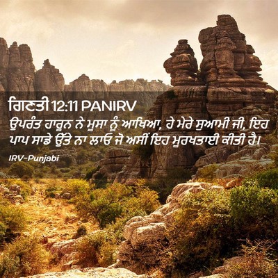 Picture 02 - ਗਿਣਤੀ 12:11 PANIRV - ਉਪਰੰਤ ਹਾਰੂਨ ਨੇ - Bible Verse Picture