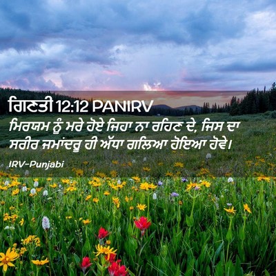 Picture 02 - ਗਿਣਤੀ 12:12 PANIRV - ਮਿਰਯਮ ਨੂੰ ਮਰੇ ਹੋਏ - Bible Verse Picture