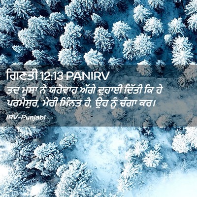 Picture 02 - ਗਿਣਤੀ 12:13 PANIRV - ਤਦ ਮੂਸਾ ਨੇ ਯਹੋਵਾਹ - Bible Verse Picture