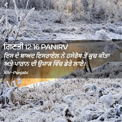 Picture 02 - ਗਿਣਤੀ 12:16 PANIRV - ਇਸ ਦੇ ਬਾਅਦ ਇਸਰਾਏਲ - Bible Verse Picture