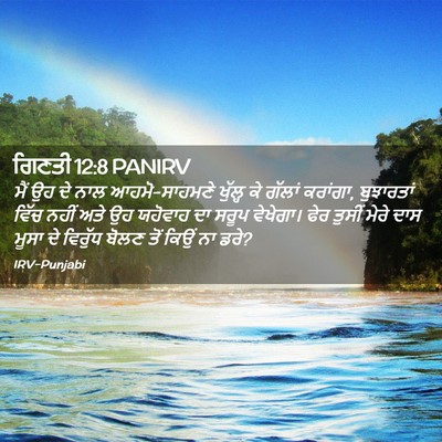 Picture 02 - ਗਿਣਤੀ 12:8 PANIRV - ਮੈਂ ਉਹ ਦੇ ਨਾਲ - Bible Verse Picture