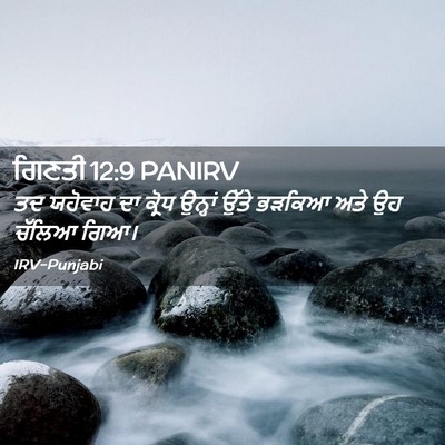 Picture 02 - ਗਿਣਤੀ 12:9 PANIRV - ਤਦ ਯਹੋਵਾਹ ਦਾ ਕ੍ਰੋਧ - Bible Verse Picture