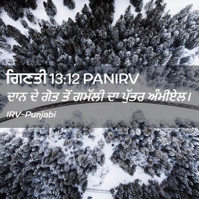 Picture 02 - ਗਿਣਤੀ 13:12 PANIRV - ਦਾਨ ਦੇ ਗੋਤ ਤੋਂ - Bible Verse Picture