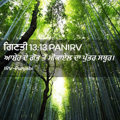 Picture 02 - ਗਿਣਤੀ 13:13 PANIRV - ਆਸ਼ੇਰ ਦੇ ਗੋਤ ਤੋਂ - Bible Verse Picture
