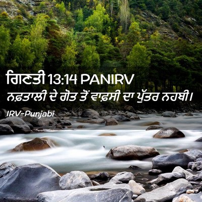 Picture 02 - ਗਿਣਤੀ 13:14 PANIRV - ਨਫ਼ਤਾਲੀ ਦੇ ਗੋਤ ਤੋਂ - Bible Verse Picture