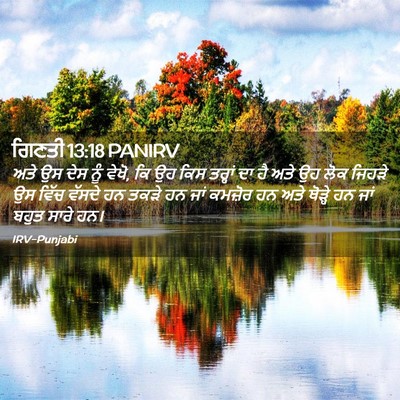 Picture 02 - ਗਿਣਤੀ 13:18 PANIRV - ਅਤੇ ਉਸ ਦੇਸ ਨੂੰ - Bible Verse Picture