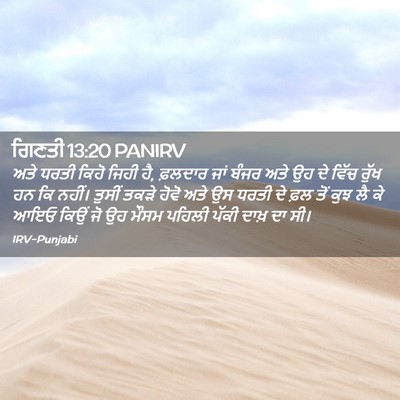 Picture 02 - ਗਿਣਤੀ 13:20 PANIRV - ਅਤੇ ਧਰਤੀ ਕਿਹੋ ਜਿਹੀ - Bible Verse Picture