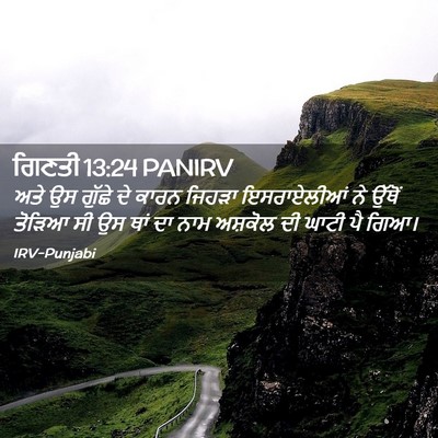 Picture 02 - ਗਿਣਤੀ 13:24 PANIRV - ਅਤੇ ਉਸ ਗੁੱਛੇ ਦੇ - Bible Verse Picture