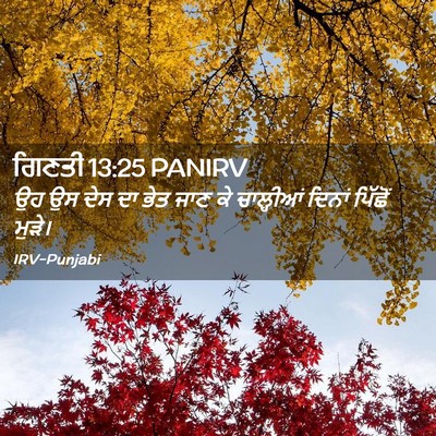 Picture 02 - ਗਿਣਤੀ 13:25 PANIRV - ਉਹ ਉਸ ਦੇਸ ਦਾ ਭੇਤ - Bible Verse Picture