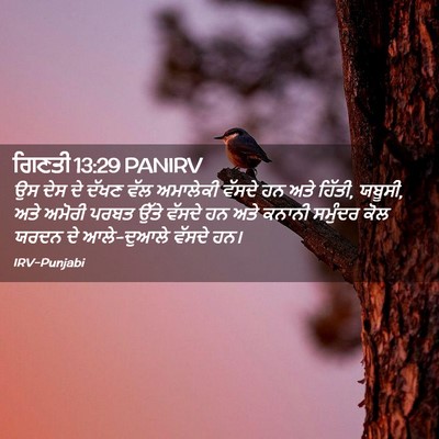 Picture 02 - ਗਿਣਤੀ 13:29 PANIRV - ਉਸ ਦੇਸ ਦੇ ਦੱਖਣ ਵੱਲ - Bible Verse Picture