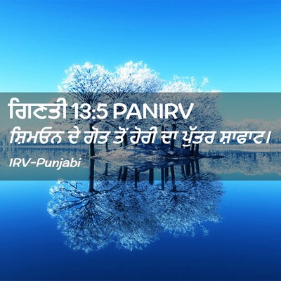 Picture 02 - ਗਿਣਤੀ 13:5 PANIRV - ਸ਼ਿਮਓਨ ਦੇ ਗੋਤ ਤੋਂ - Bible Verse Picture