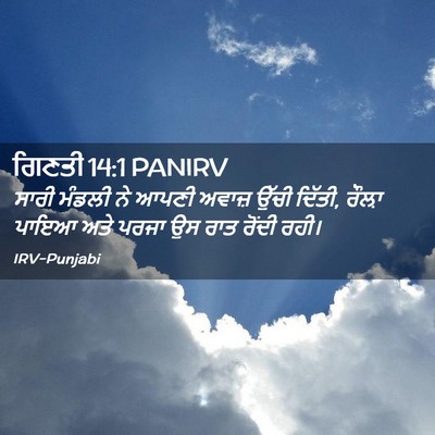 Picture 02 - ਗਿਣਤੀ 14:1 PANIRV - ਸਾਰੀ ਮੰਡਲੀ ਨੇ ਆਪਣੀ - Bible Verse Picture