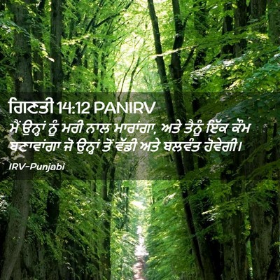 Picture 02 - ਗਿਣਤੀ 14:12 PANIRV - ਮੈਂ ਉਨ੍ਹਾਂ ਨੂੰ ਮਰੀ - Bible Verse Picture