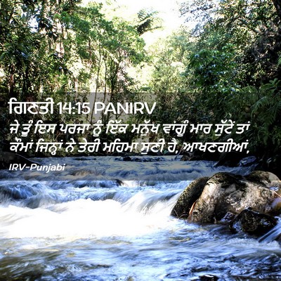 Picture 02 - ਗਿਣਤੀ 14:15 PANIRV - ਜੇ ਤੂੰ ਇਸ ਪਰਜਾ ਨੂੰ - Bible Verse Picture