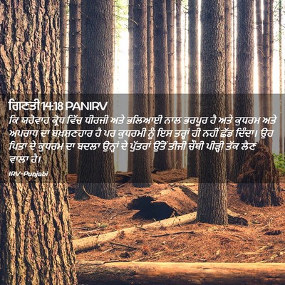 Picture 02 - ਗਿਣਤੀ 14:18 PANIRV - ਕਿ ਯਹੋਵਾਹ ਕ੍ਰੋਧ - Bible Verse Picture