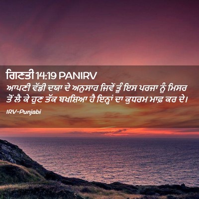Picture 02 - ਗਿਣਤੀ 14:19 PANIRV - ਆਪਣੀ ਵੱਡੀ ਦਯਾ ਦੇ - Bible Verse Picture