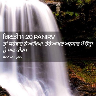 Picture 02 - ਗਿਣਤੀ 14:20 PANIRV - ਤਾਂ ਯਹੋਵਾਹ ਨੇ ਆਖਿਆ, - Bible Verse Picture