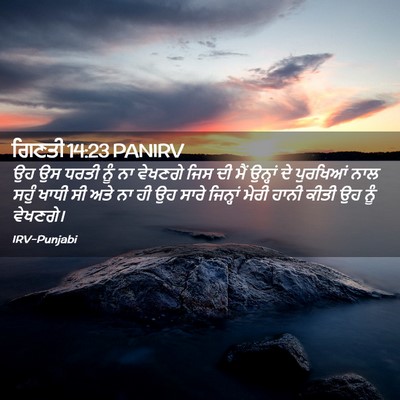 Picture 02 - ਗਿਣਤੀ 14:23 PANIRV - ਉਹ ਉਸ ਧਰਤੀ ਨੂੰ ਨਾ - Bible Verse Picture