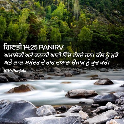 Picture 02 - ਗਿਣਤੀ 14:25 PANIRV - ਅਮਾਲੇਕੀ ਅਤੇ ਕਨਾਨੀ - Bible Verse Picture