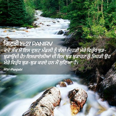 Picture 02 - ਗਿਣਤੀ 14:27 PANIRV - ਕਦੋਂ ਤੱਕ ਮੈਂ ਇਸ - Bible Verse Picture
