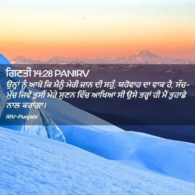 Picture 02 - ਗਿਣਤੀ 14:28 PANIRV - ਉਨ੍ਹਾਂ ਨੂੰ ਆਖੋ ਕਿ - Bible Verse Picture