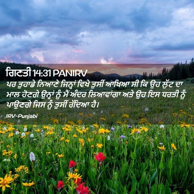 Picture 02 - ਗਿਣਤੀ 14:31 PANIRV - ਪਰ ਤੁਹਾਡੇ ਨਿਆਣੇ - Bible Verse Picture