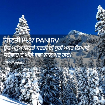 Picture 02 - ਗਿਣਤੀ 14:37 PANIRV - ਉਹ ਮਨੁੱਖ ਜਿਹੜੇ - Bible Verse Picture
