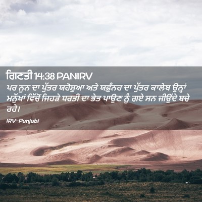 Picture 02 - ਗਿਣਤੀ 14:38 PANIRV - ਪਰ ਨੂਨ ਦਾ ਪੁੱਤਰ - Bible Verse Picture