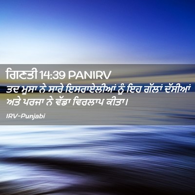 Picture 02 - ਗਿਣਤੀ 14:39 PANIRV - ਤਦ ਮੂਸਾ ਨੇ ਸਾਰੇ - Bible Verse Picture