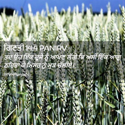 Picture 02 - ਗਿਣਤੀ 14:4 PANIRV - ਤਦ ਉਹ ਇੱਕ ਦੂਜੇ ਨੂੰ - Bible Verse Picture