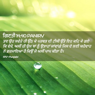 Picture 02 - ਗਿਣਤੀ 14:40 PANIRV - ਤਦ ਉਹ ਸਵੇਰੇ ਹੀ ਉੱਠ - Bible Verse Picture
