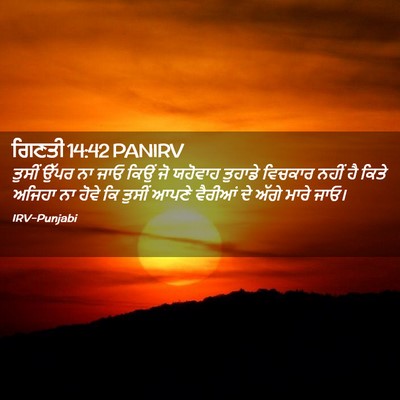 Picture 02 - ਗਿਣਤੀ 14:42 PANIRV - ਤੁਸੀਂ ਉੱਪਰ ਨਾ ਜਾਓ - Bible Verse Picture