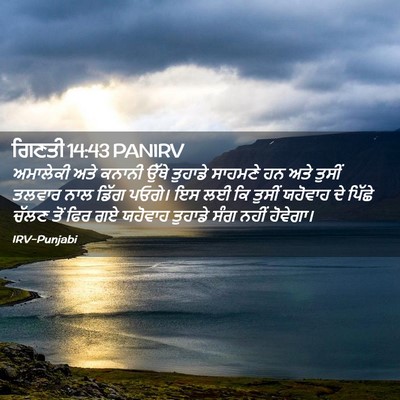 Picture 02 - ਗਿਣਤੀ 14:43 PANIRV - ਅਮਾਲੇਕੀ ਅਤੇ ਕਨਾਨੀ - Bible Verse Picture