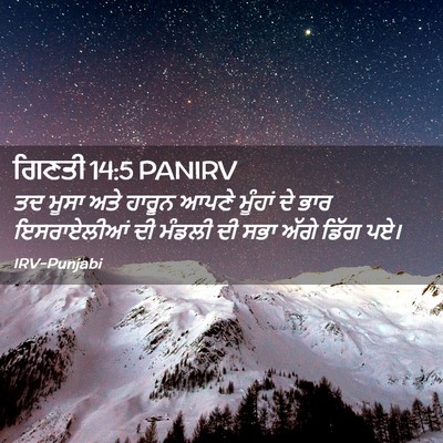 Picture 02 - ਗਿਣਤੀ 14:5 PANIRV - ਤਦ ਮੂਸਾ ਅਤੇ ਹਾਰੂਨ - Bible Verse Picture
