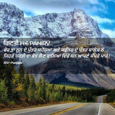 Picture 02 - ਗਿਣਤੀ 14:6 PANIRV - ਫੇਰ ਤਾਂ ਨੂਨ ਦੇ - Bible Verse Picture