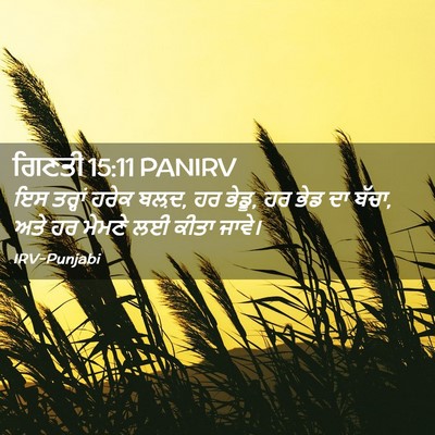 Picture 02 - ਗਿਣਤੀ 15:11 PANIRV - ਇਸ ਤਰ੍ਹਾਂ ਹਰੇਕ - Bible Verse Picture