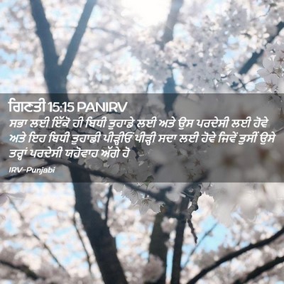 Picture 02 - ਗਿਣਤੀ 15:15 PANIRV - ਸਭਾ ਲਈ ਇੱਕੋ ਹੀ ਬਿਧੀ - Bible Verse Picture